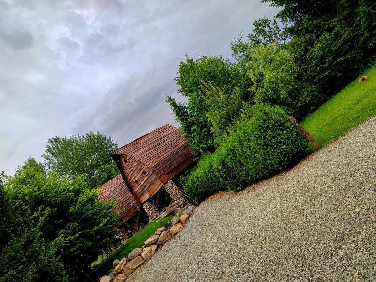 Căsuțele de sub Șipote Villa Porumbacu de Sus Exterior foto